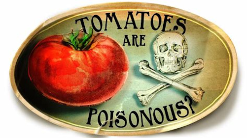 tomatoes