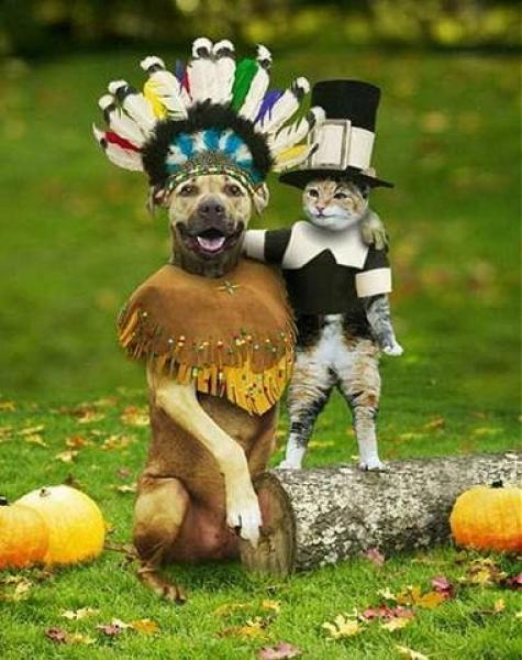 Happy Thanksgiving