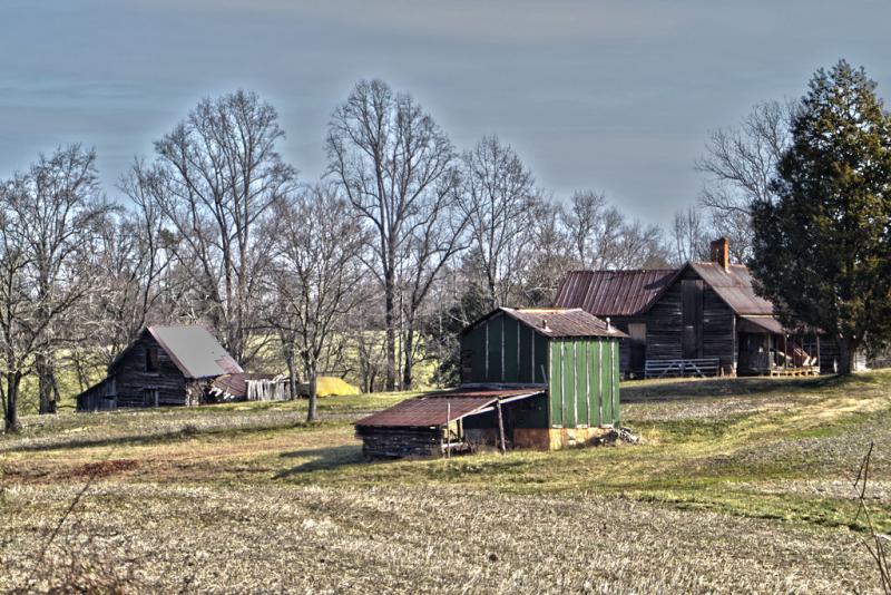 Tobacco Farm