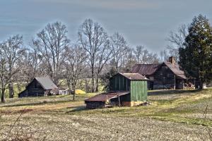 Tobacco Farm